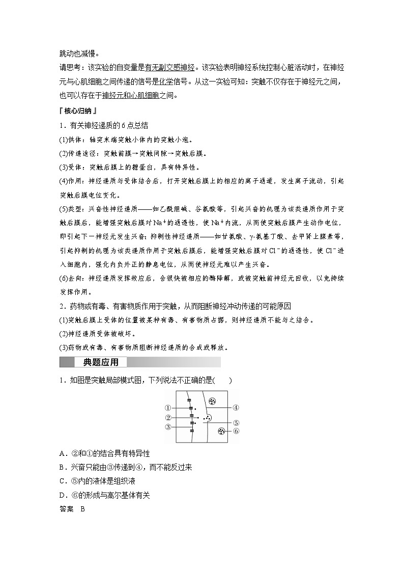 2024年高中生物新教材同步学案 选择性必修第一册 第2章 第3节 第2课时 兴奋在神经元之间的传递和滥用兴奋剂、吸食毒品的危害(含解析)03
