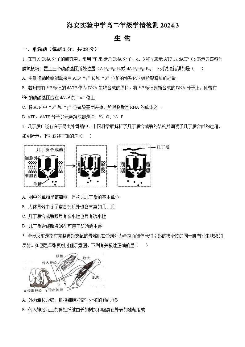 2024南京人民中学、海安实验中学、句容三中高二3月月考试题生物含解析01