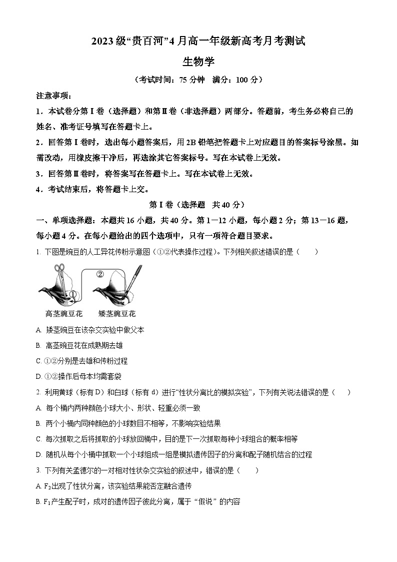 2024广西壮族自治区贵百河联考高一下学期4月月考试题生物含解析01