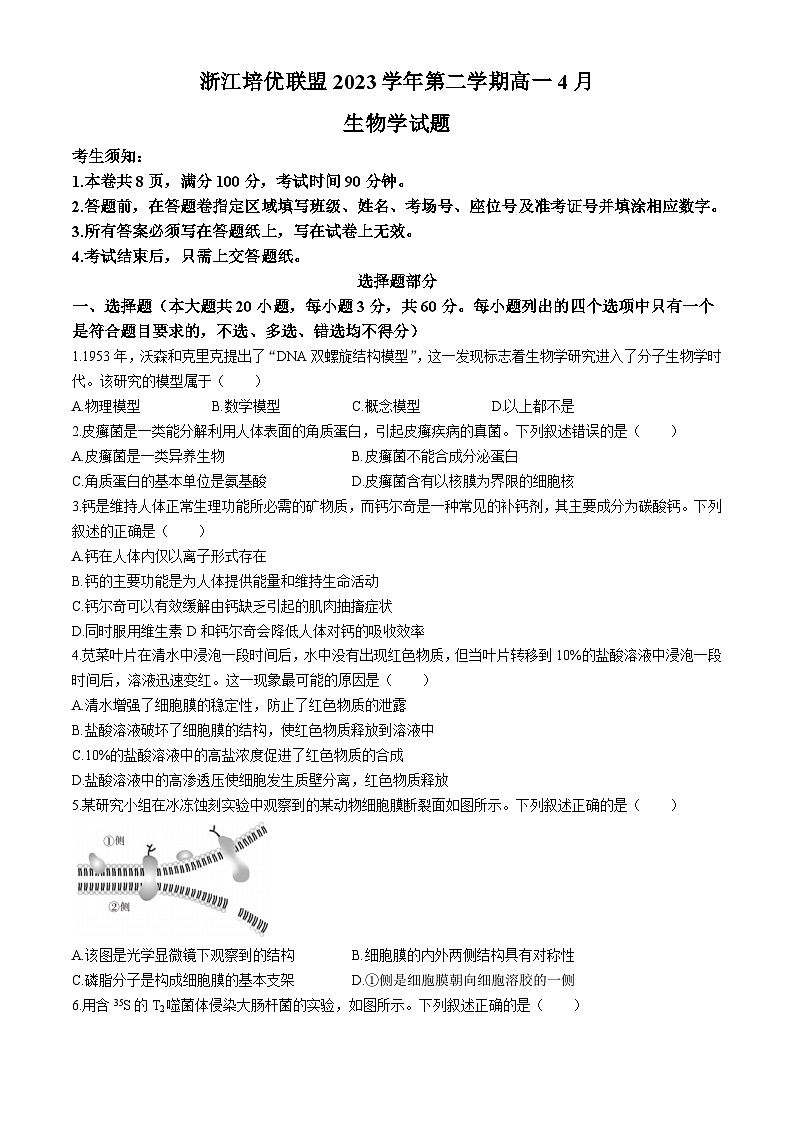 2024浙江省培优联盟高一下学期4月联考试题生物含答案第1页