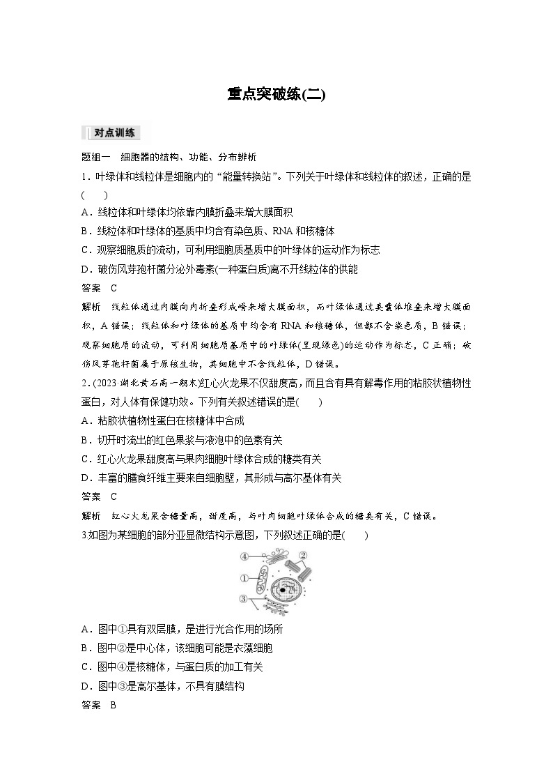 2024年高中生物新教材同步学案 必修第一册 第3章 重点突破练(二)（含解析）01