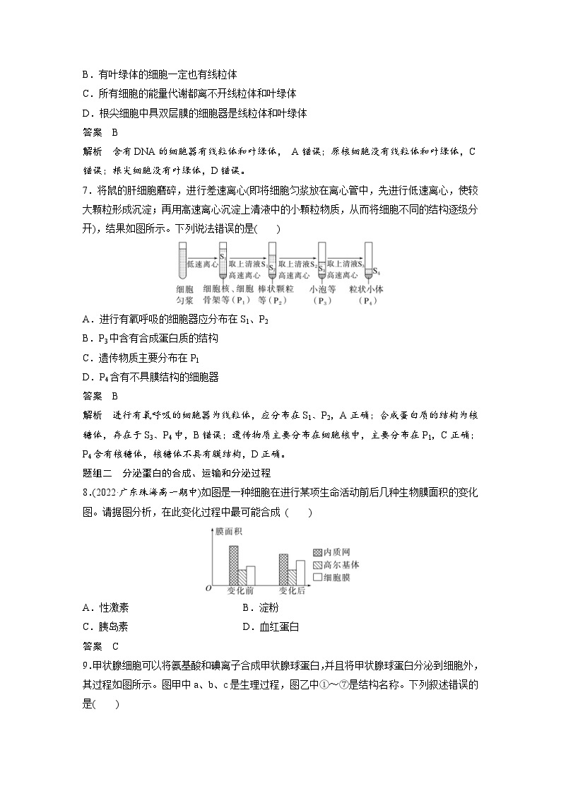 2024年高中生物新教材同步学案 必修第一册 第3章 重点突破练(二)（含解析）03