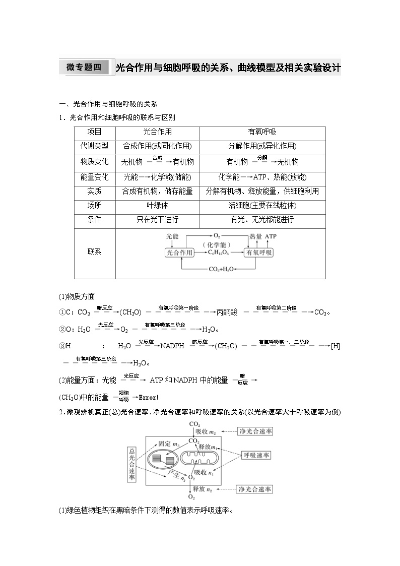 2024年高中生物新教材同步学案 必修第一册 第五章 微专题四　光合作用与细胞呼吸的关系、曲线模型及相关实验设计（含解析）