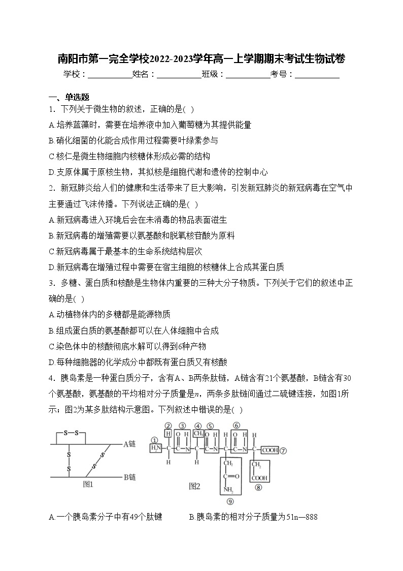 南阳市第一完全学校2022-2023学年高一上学期期末考试生物试卷(含答案)01