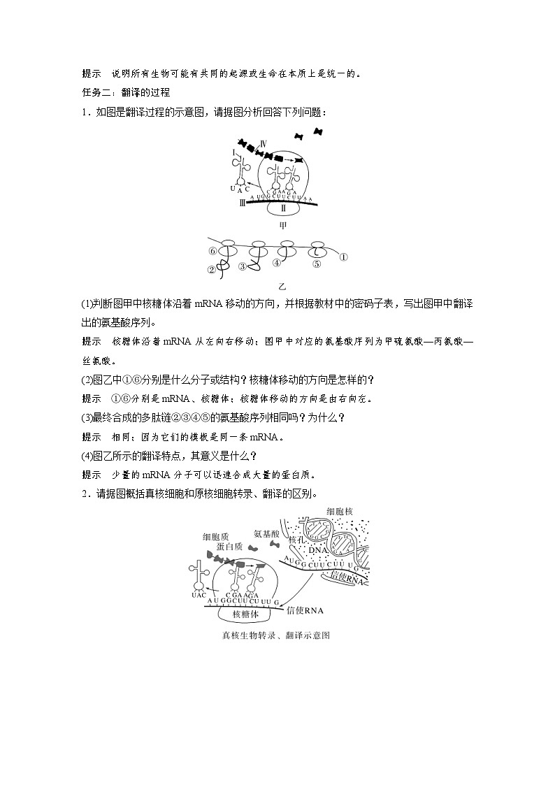 2024年高中生物新教材同步学案 必修第二册 第4章 第1节 第2课时 遗传信息的翻译、中心法则(含解析)第3页
