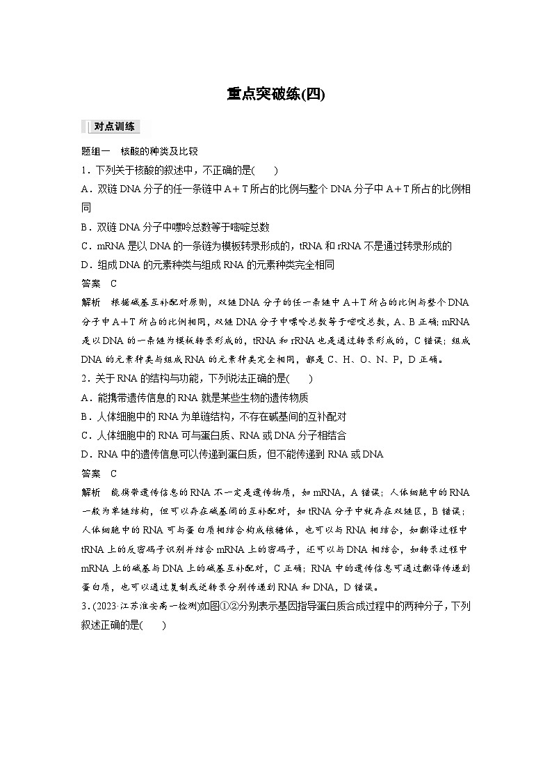2024年高中生物新教材同步学案 必修第二册 第4章 重点突破练(四)(含解析)第1页