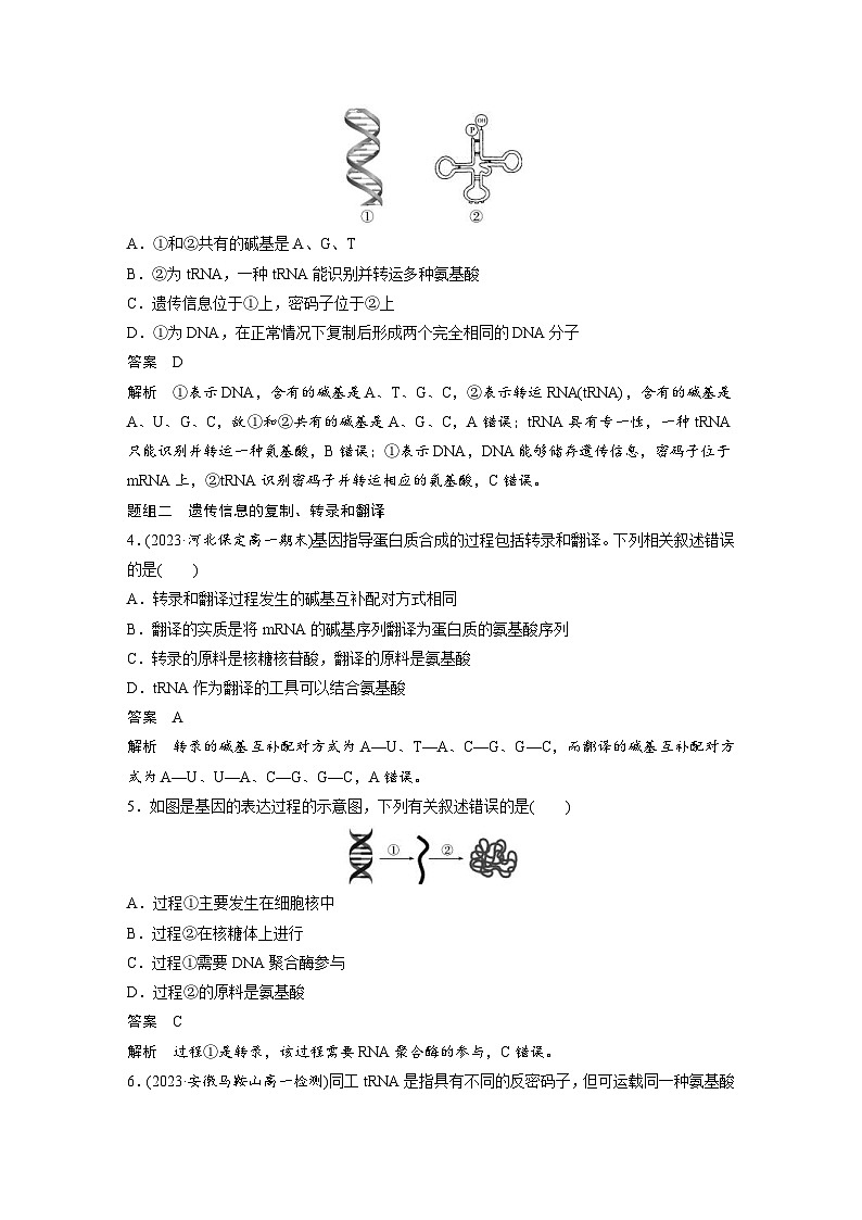 2024年高中生物新教材同步学案 必修第二册 第4章 重点突破练(四)(含解析)第2页