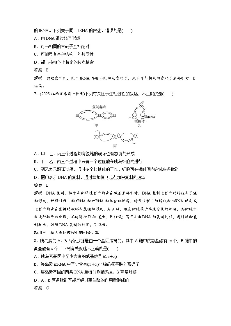 2024年高中生物新教材同步学案 必修第二册 第4章 重点突破练(四)(含解析)第3页