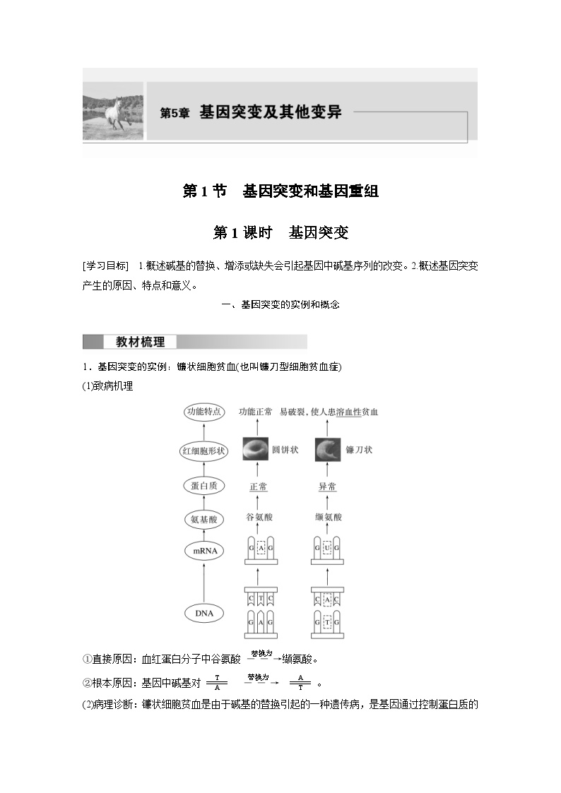 人教版 (2019)必修2《遗传与进化》第1节 基因突变和基因重组第1课时导学案
