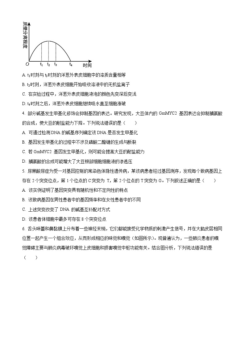 2024届广东省湛江市高三下学期二模考试生物试题(原卷版)第2页