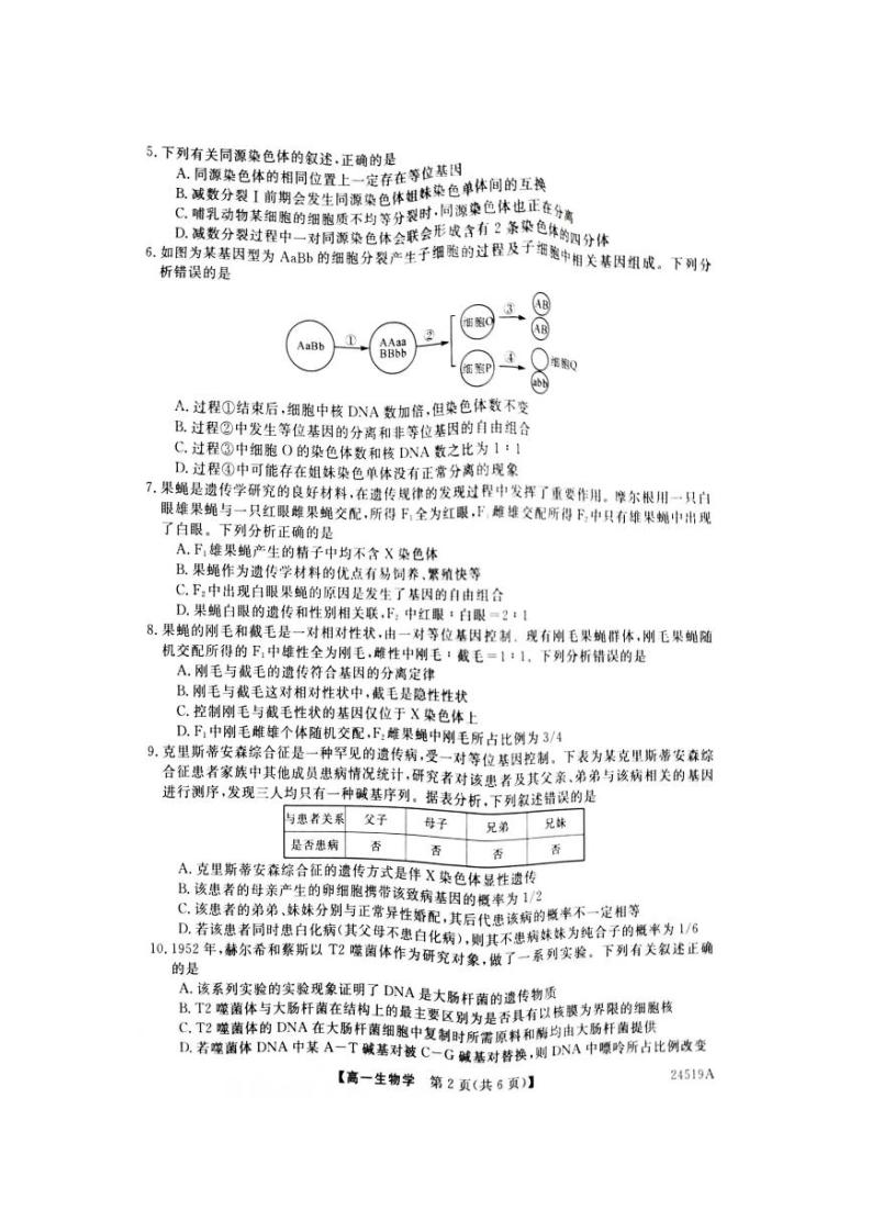 2024河南省新未来联考高一下学期4月期中考试生物PDF版含解析02