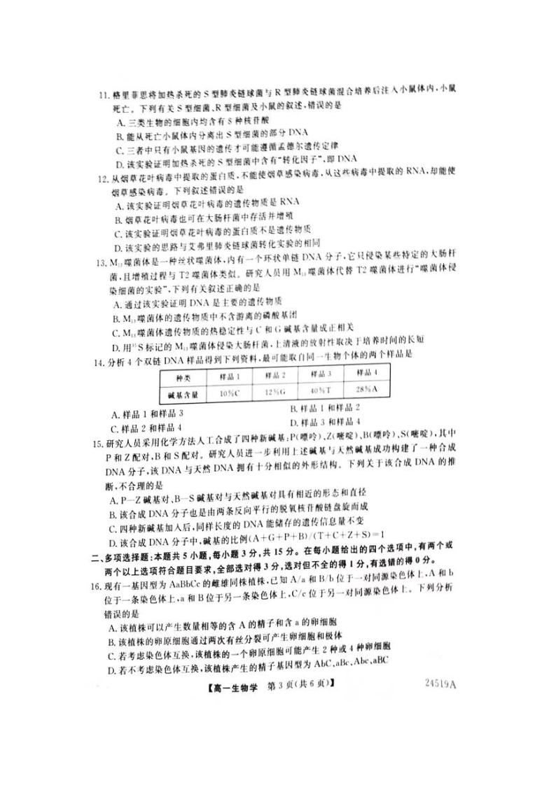 2024河南省新未来联考高一下学期4月期中考试生物PDF版含解析03