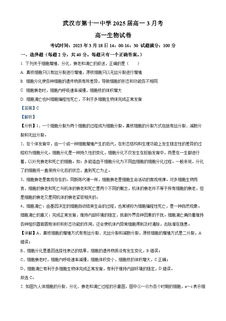 湖北省武汉市第十一中学2023-2024学年高一下学期3月月考试题 Word版含解析第1页