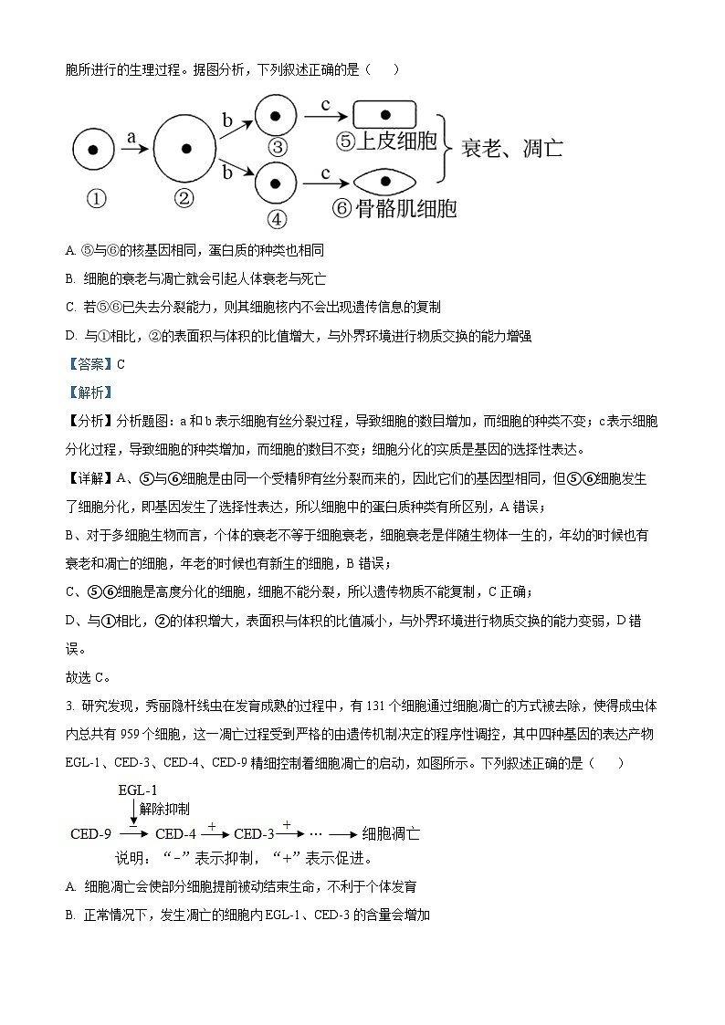 湖北省武汉市第十一中学2023-2024学年高一下学期3月月考试题 Word版含解析第2页