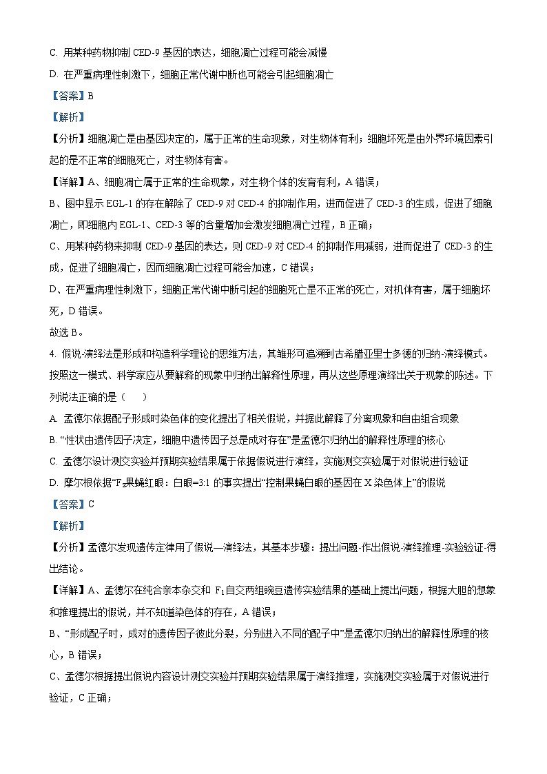 湖北省武汉市第十一中学2023-2024学年高一下学期3月月考试题 Word版含解析第3页