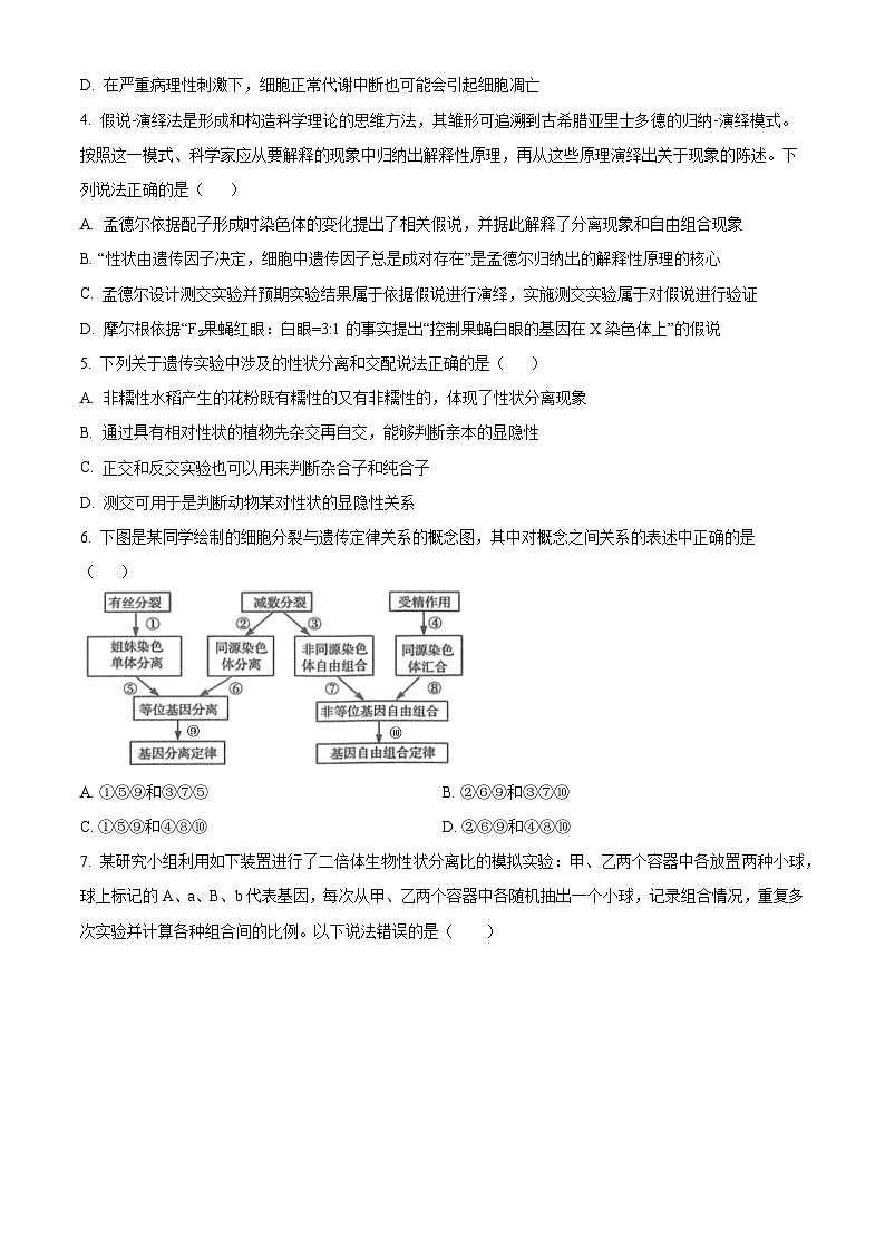 湖北省武汉市第十一中学2023-2024学年高一下学期3月月考试题 Word版无答案第2页