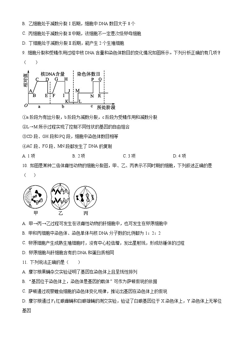 河北省沧州市泊头市第一中学2023-2024学年高一下学期4月月考生物试题(原卷版+解析版)03