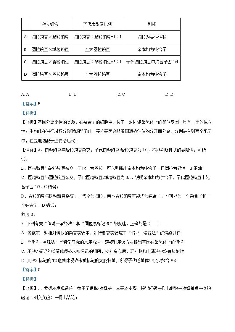河南省新未来联考2023-2024学年高一下学期4月期中生物试题（原卷版+解析版）02