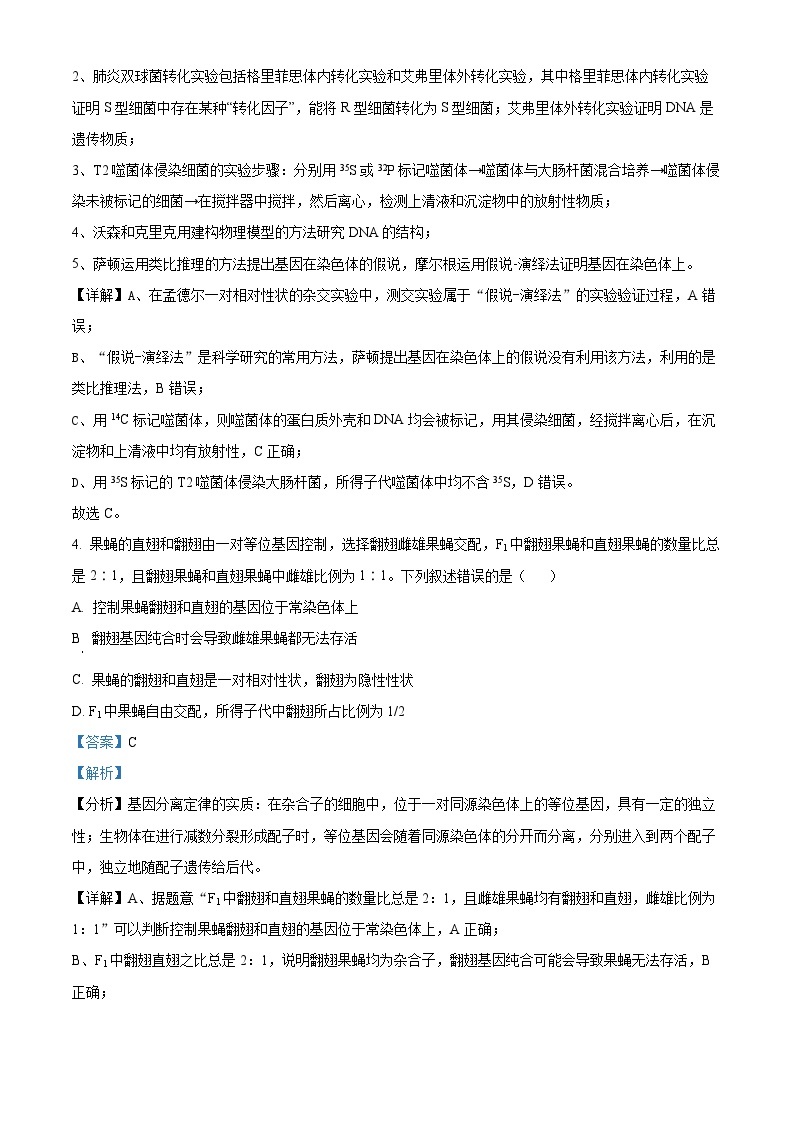 河南省新未来联考2023-2024学年高一下学期4月期中生物试题（原卷版+解析版）03