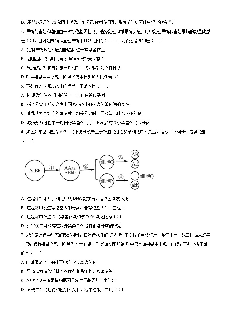 河南省新未来联考2023-2024学年高一下学期4月期中生物试题（原卷版+解析版）02