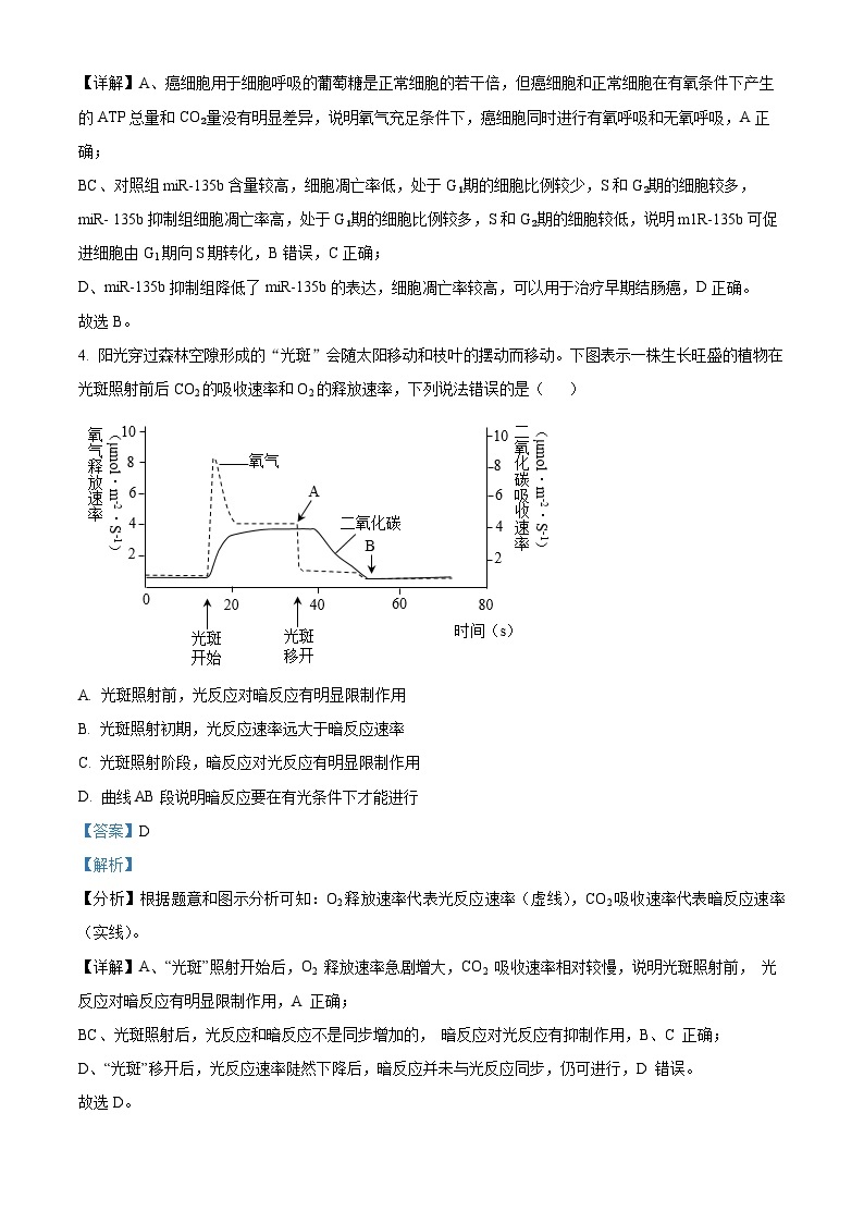 重庆市渝中区巴蜀中学校2023-2024学年高三下学期4月期中考试生物试题（原卷版+解析版）03