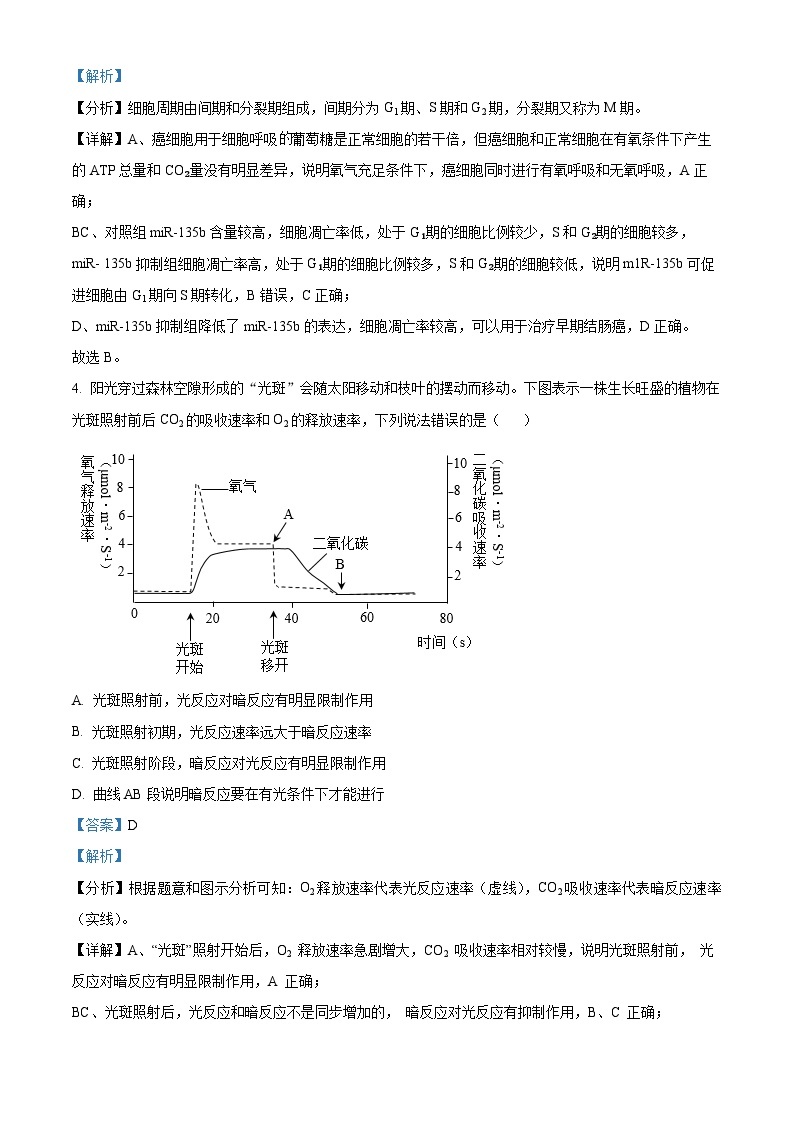 重庆市渝中区巴蜀中学校2023-2024学年高三下学期4月期中生物试题（原卷版+解析版）03