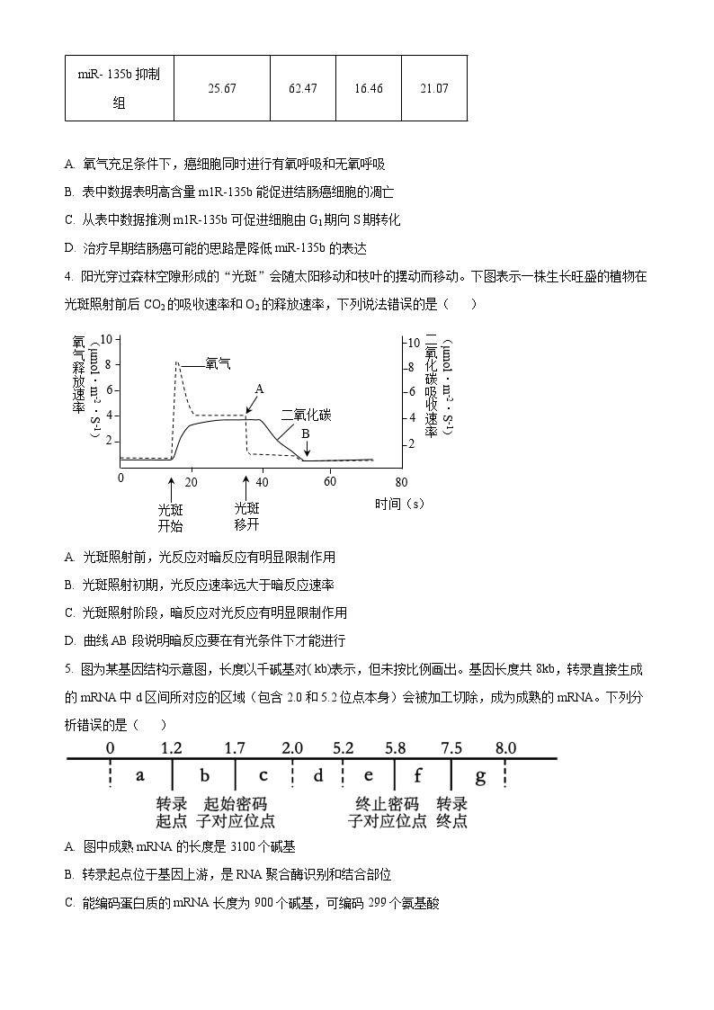 重庆市渝中区巴蜀中学校2023-2024学年高三下学期4月期中生物试题（原卷版+解析版）02