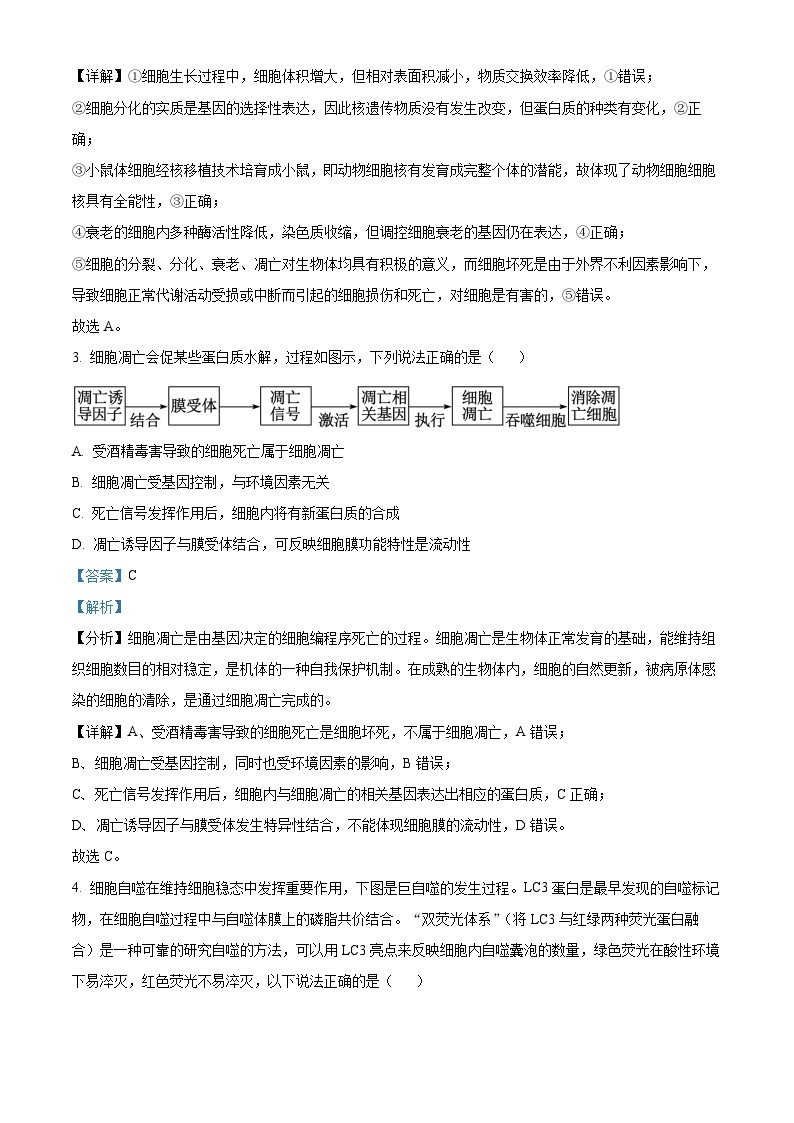 四川省巴中市平昌县平昌中学2023-2024年学年高一下学期第一次月考生物试题（原卷版+解析版）02