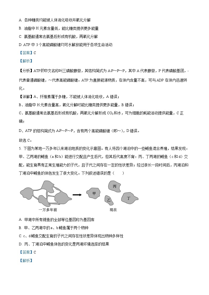 2024届浙江省绍兴市高三下学期4月适应性考试生物试卷  Word版含解析03