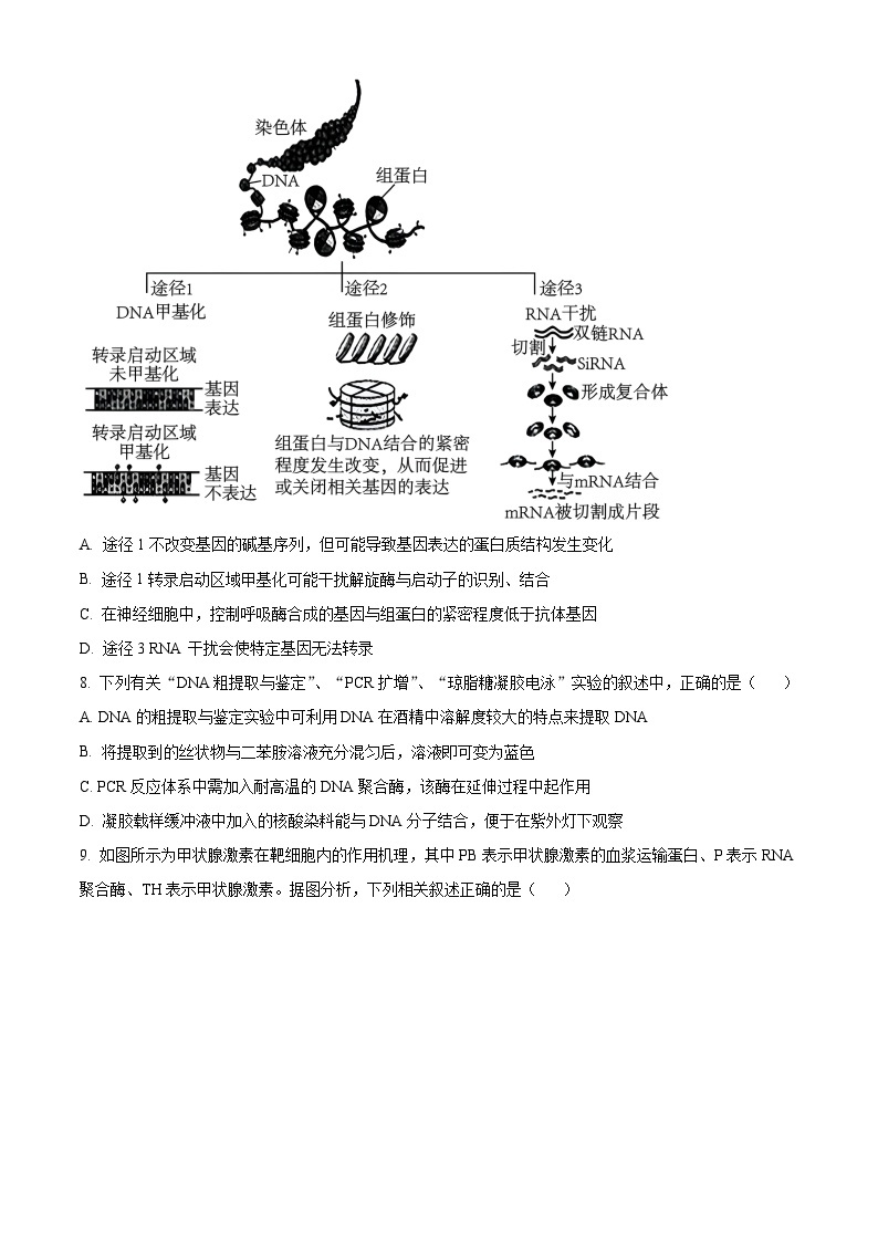 辽宁省协作校2024届高三下学期第一次模拟考试 生物 Word版含解析03