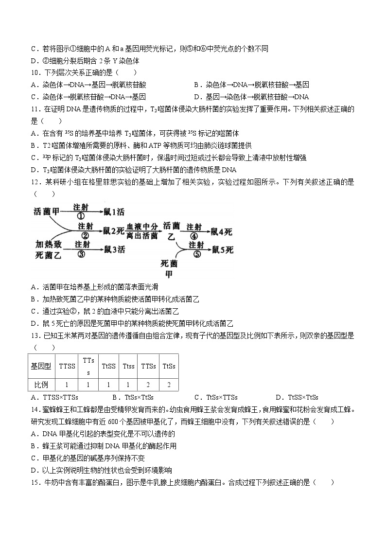 江苏省泰州中学2023-2024学年高一下学期4月期中考试生物试卷（Word版附答案）03