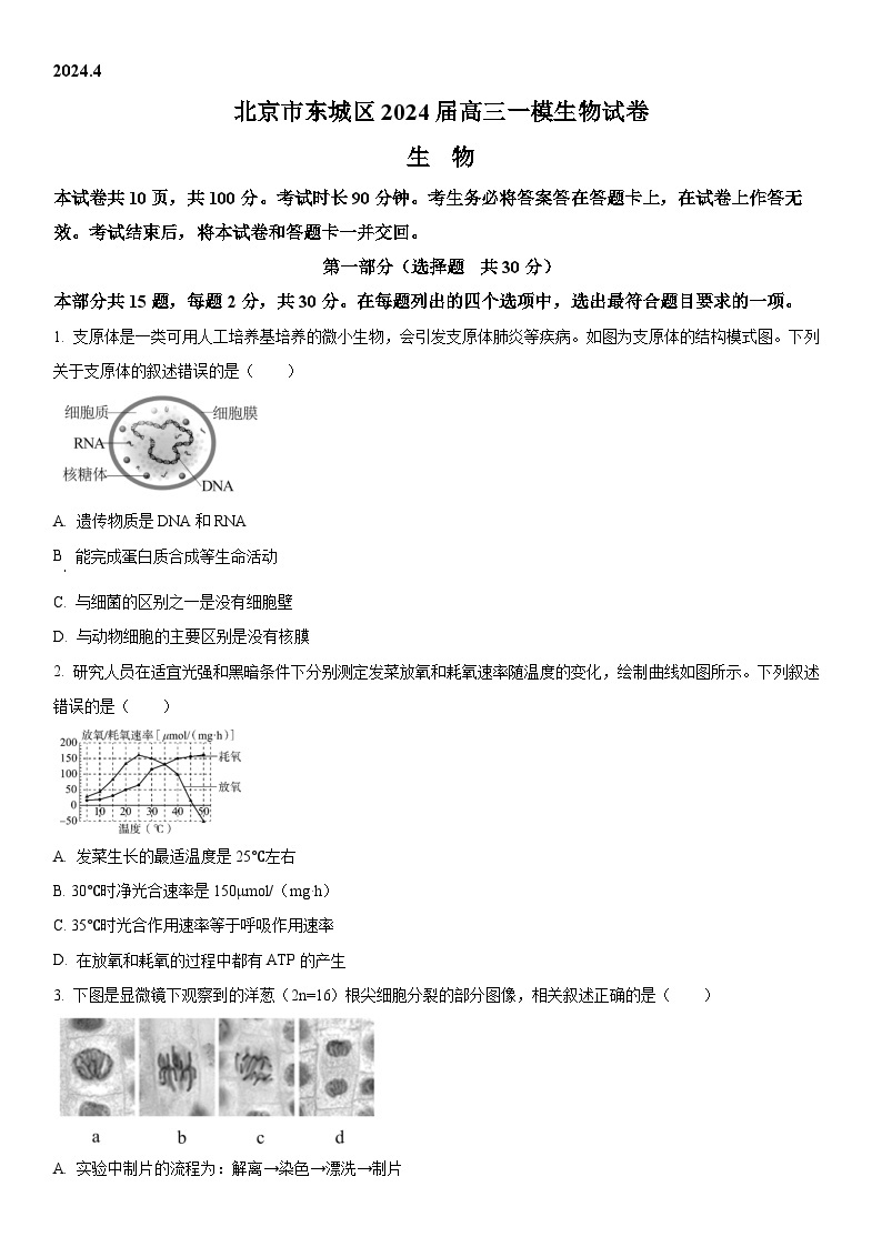 2024年北京市东城区高三下学期高考一模生物试卷含详解01