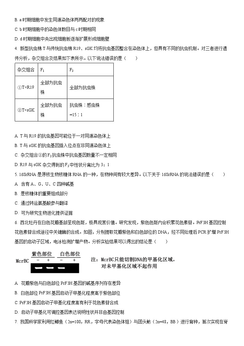 2024年北京市东城区高三下学期高考一模生物试卷含详解02