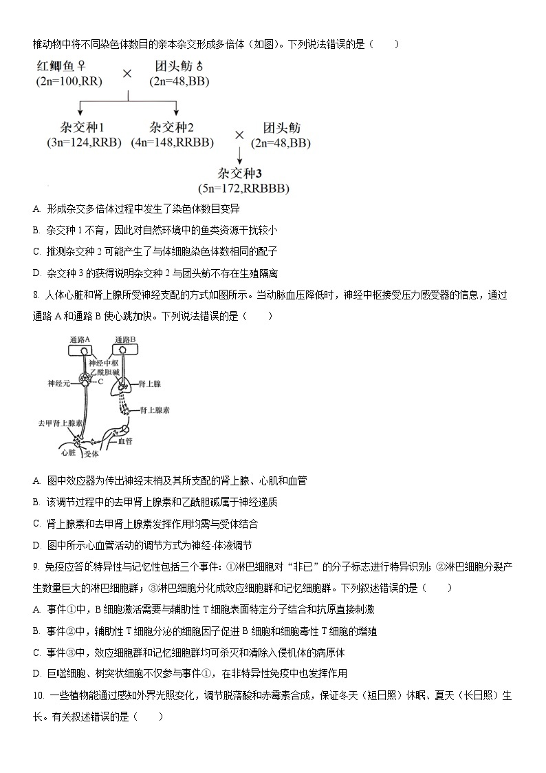 2024年北京市东城区高三下学期高考一模生物试卷含详解03