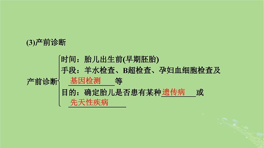 2025版高考生物一輪總復(fù)習(xí)必修2第5單元孟德?tīng)柖珊桶樾赃z傳第4講人類遺傳病課件第8頁(yè)