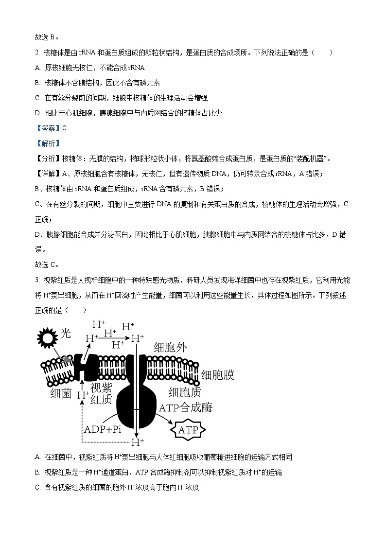 湖南省长沙市师范大学附属中学2024届高三下学期模拟考试(一)生物试卷 Word版含解析第2页