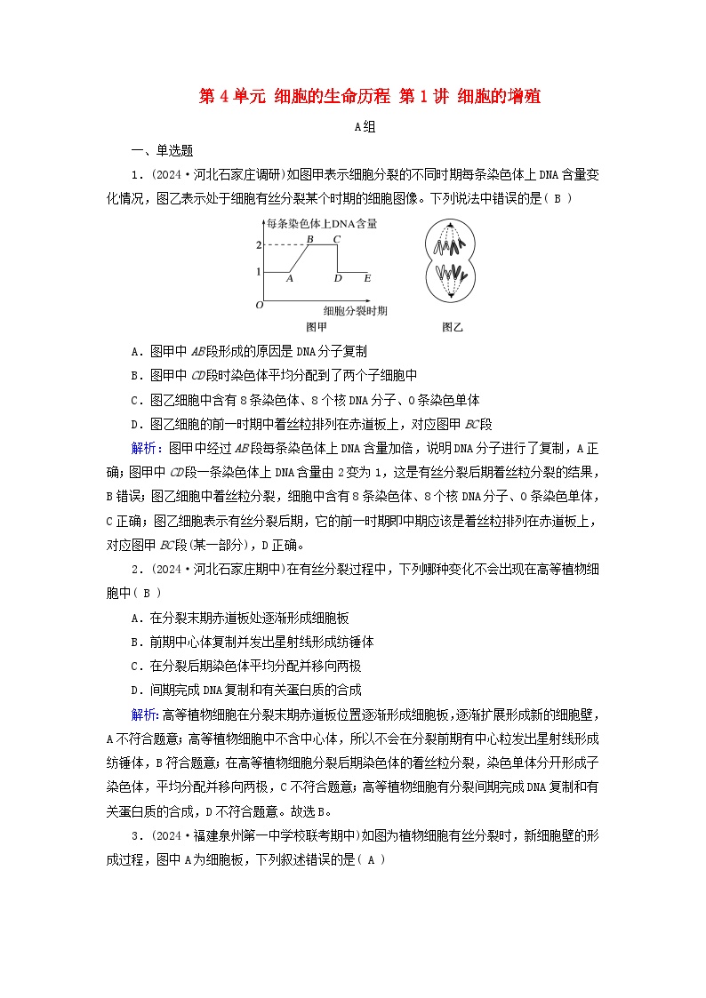 2025版高考生物一轮总复习必修1第4单元细胞的生命历程第1讲细胞的增殖提能训练