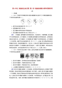 2025版高考生物一轮总复习必修1第4单元细胞的生命历程第2讲细胞的减数分裂和受精作用提能训练