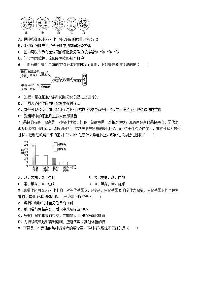 四川省眉山市仁寿县实验中学2023-2024学年高一下学期4月期中生物试题第2页