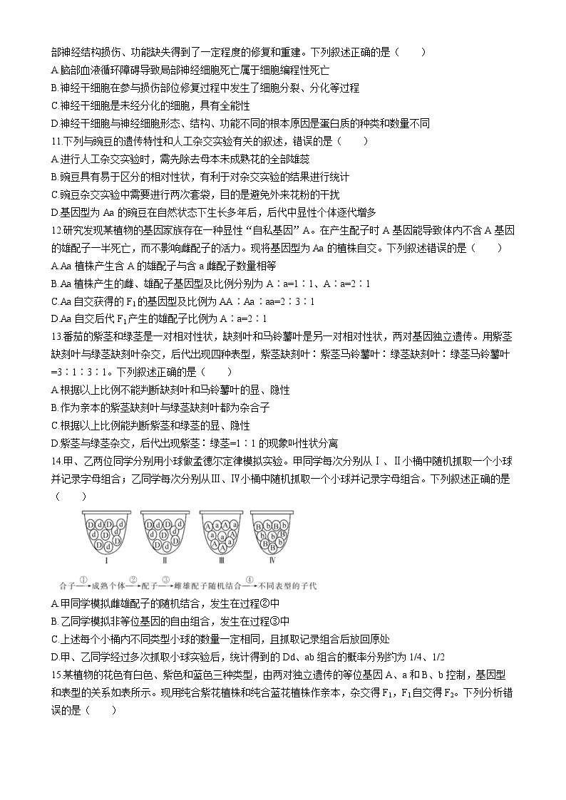 安徽省皖北名校2023-2024学年高一下学期阶段性考试生物试题03