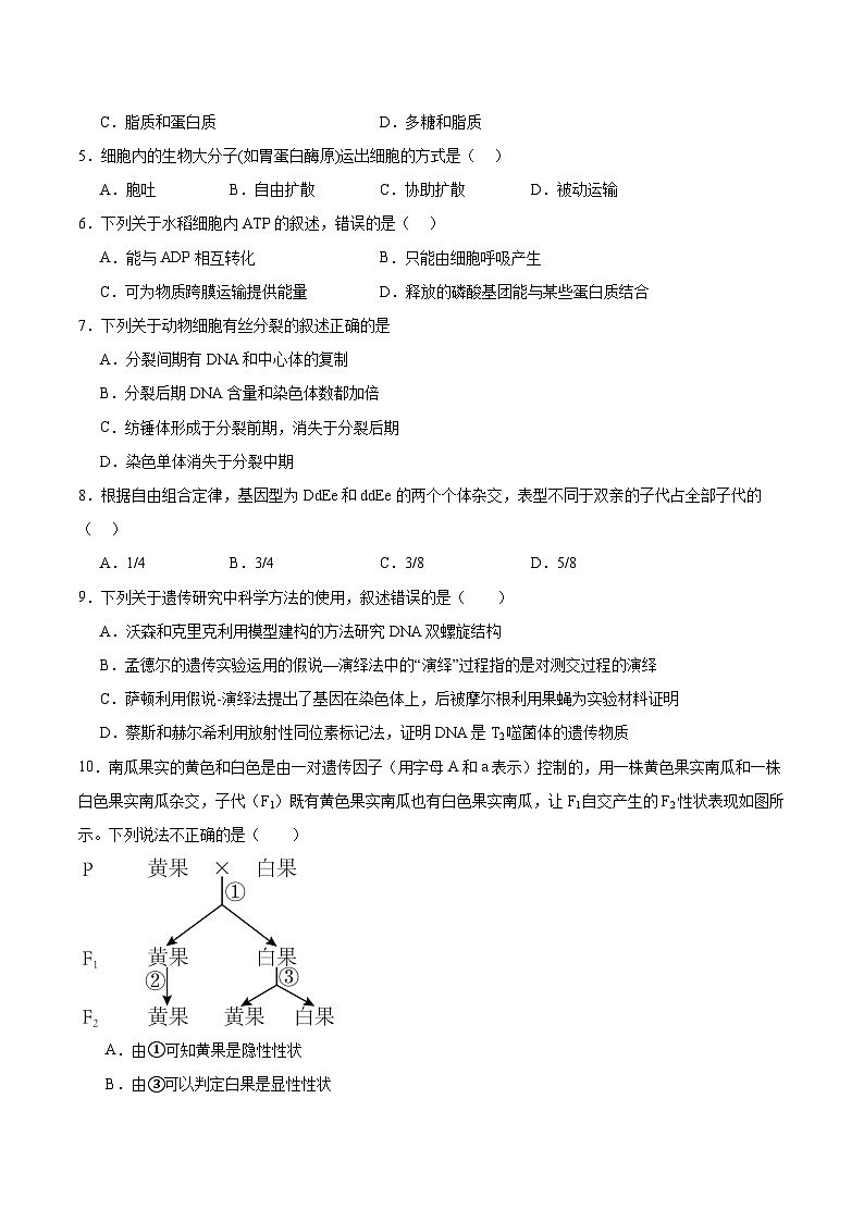 4月12日第一次段考高一生物学试卷(含答案)第2页