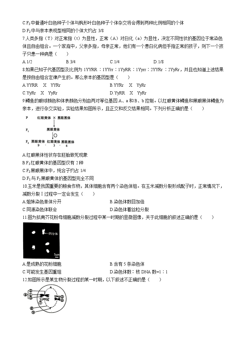 安徽省庐巢联盟2023-2024学年高一下学期第一次联考生物试卷（Word版附答案）02