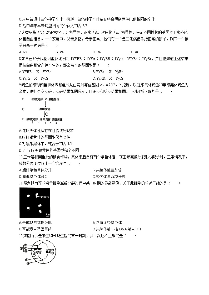 安徽省庐巢联盟2023-2024学年高一下学期第一次联考生物试卷(Word版附答案)第2页