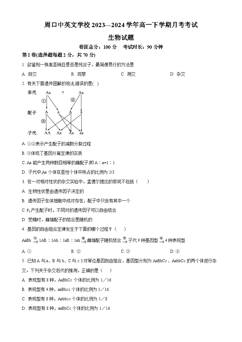 河南省周口中英文学校2023-2024学年高一下学期4月月考生物试卷（原卷版+解析版）01