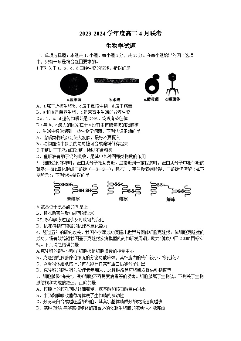 河南省百师联盟2023-2024学年高二下学期4月联考生物试题01