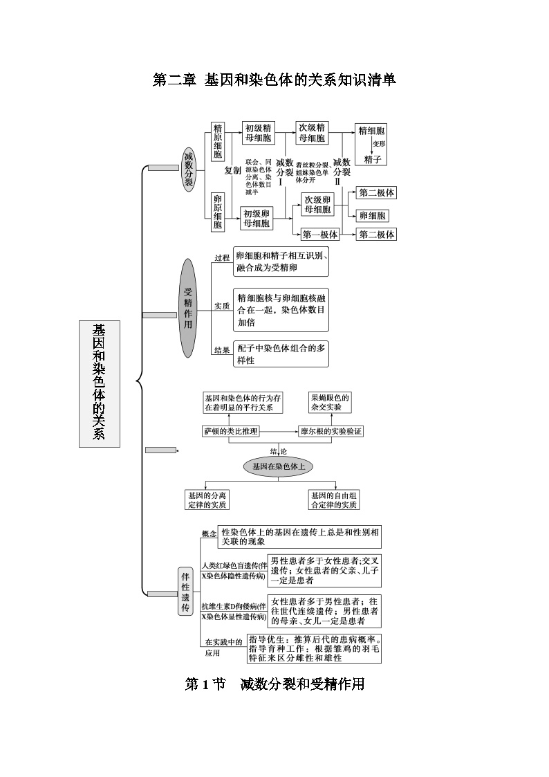 【期中复习】人教版2019必修2023-2024学年高一下册生物 第2章 基因与染色体的关系（知识点梳理）