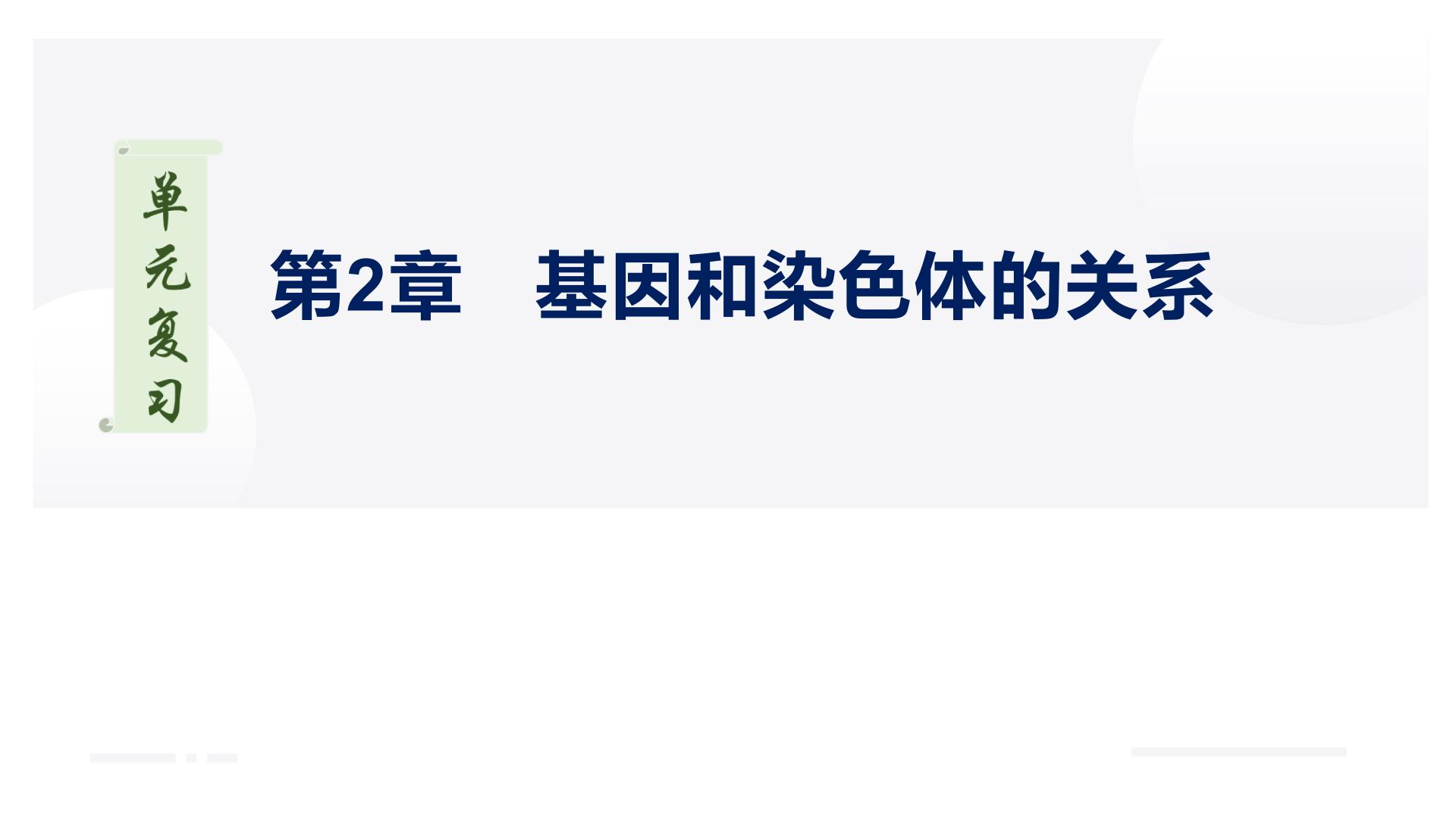 【期中复习】人教版2019必修2023-2024学年高一下册生物 第2章 基因和染色体的关系（考点复习）