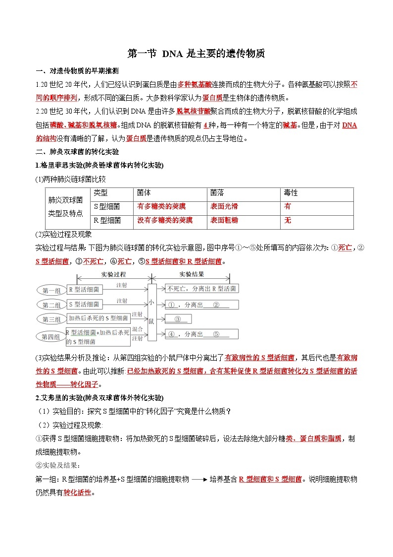 【期中复习】人教版2019必修2023-2024学年高一下册生物 第3章 基因的本质（知识点梳理）02