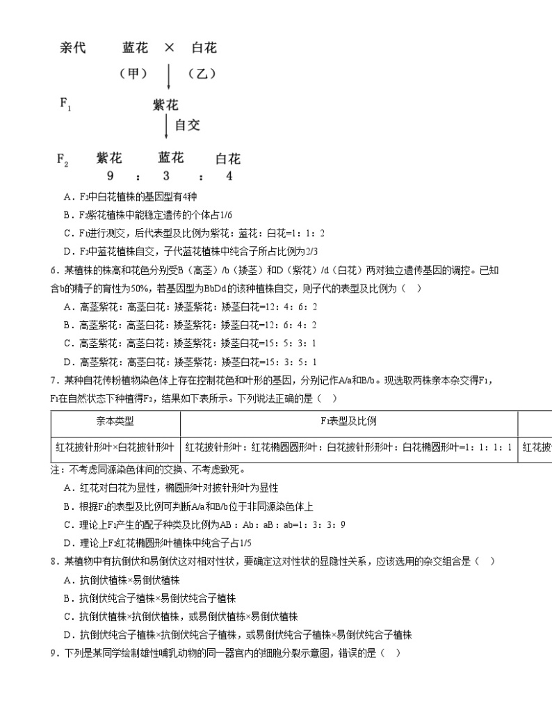 【期中模拟】人教版2019必修2023-2024学年高一下册生物 期中冲刺卷02.zip02