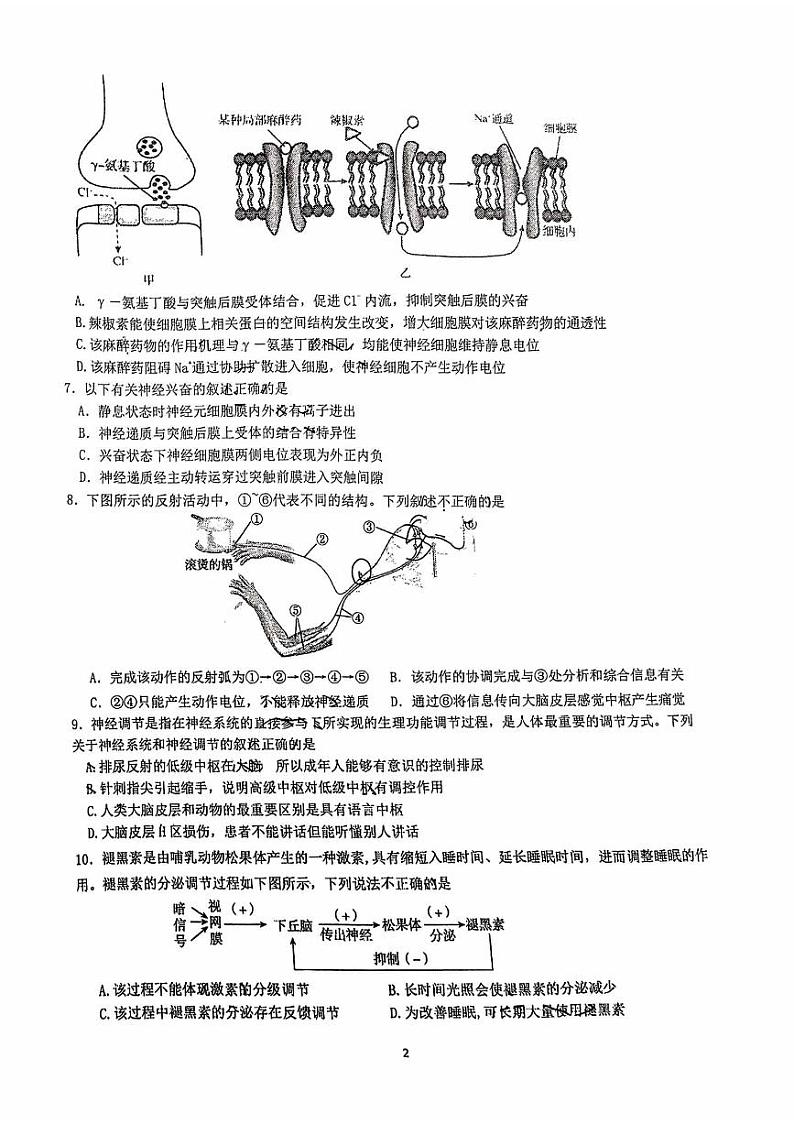 2023-2024学年北京交大附中高二(上)期中生物试题及答案02